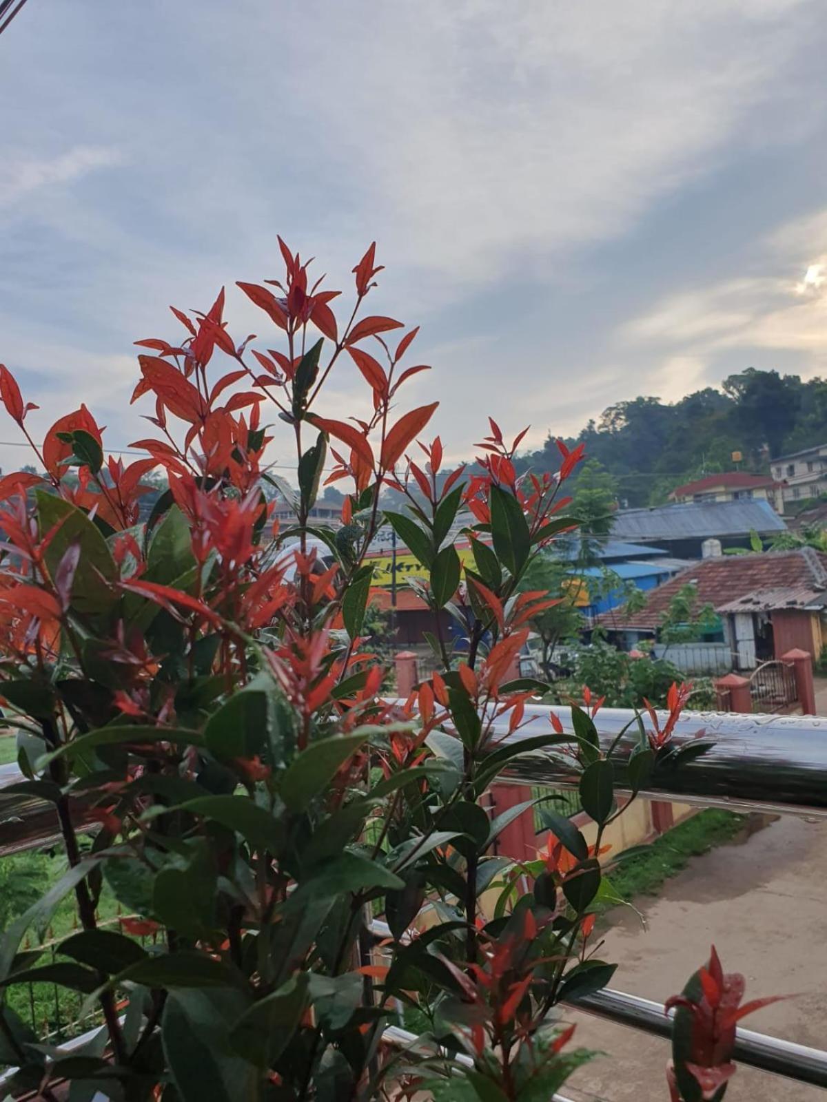 Varam Homestay Мадикери Экстерьер фото